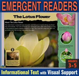 Close Reading Comprehension on Lotus Flower: Emerging Readers 3rd, 4th 5th Grade