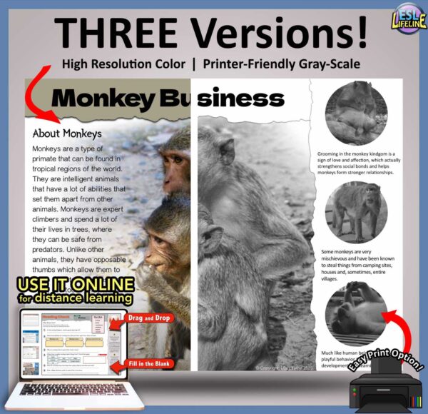 ESL Close Reading Comprehension on Monkeys - Emerging Readers Informational Text