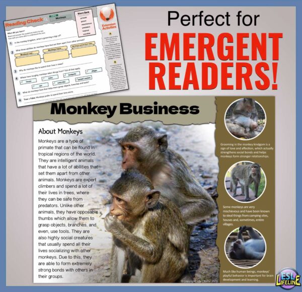 ESL Close Reading Comprehension on Monkeys - Emerging Readers Informational Text